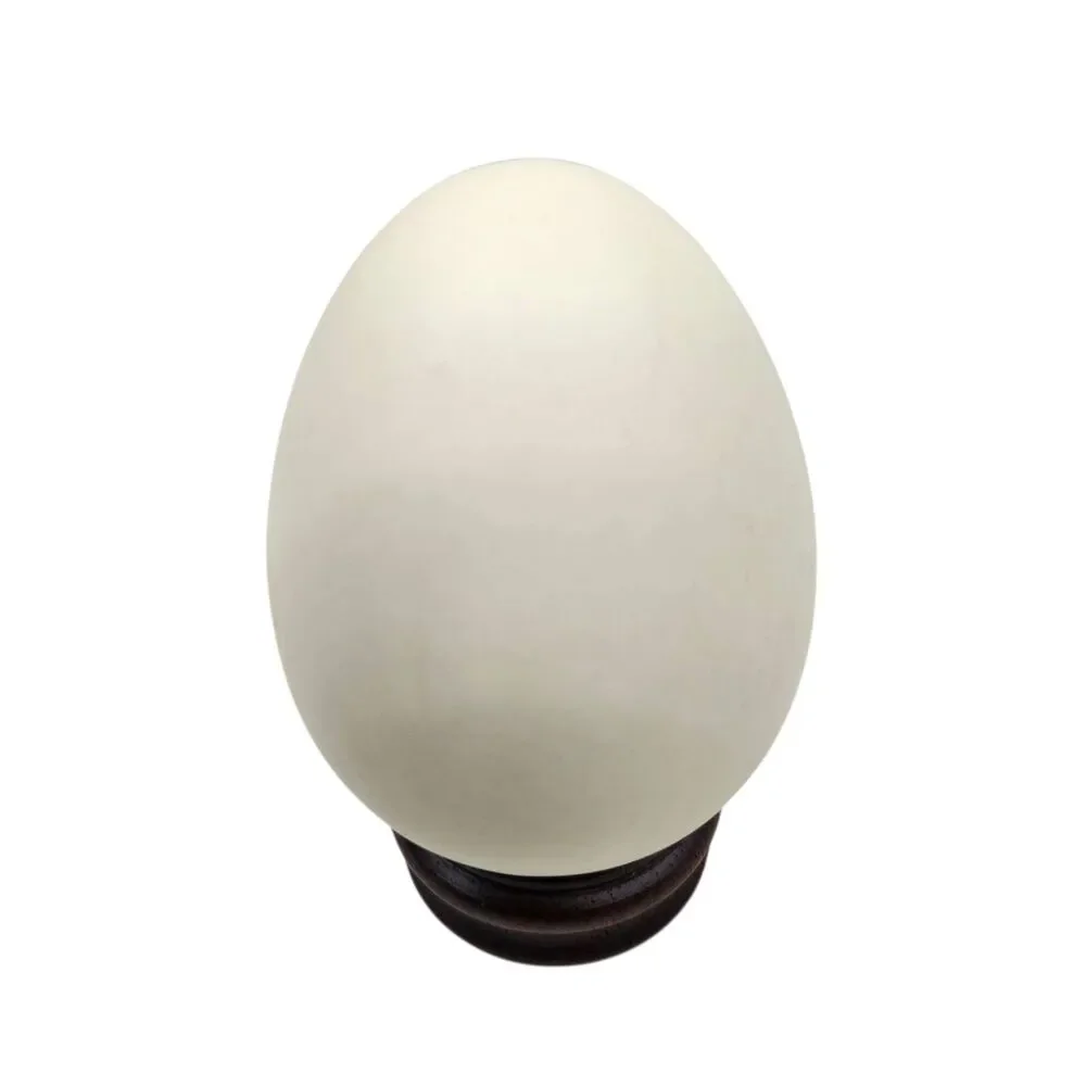 Eggzakly Collectors Egg Porcelain with Wood Stand Handmade Bald Eagle Soaring